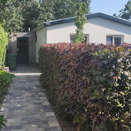 Vakantiebungalow Texel Де Коксдорп Екстериор снимка