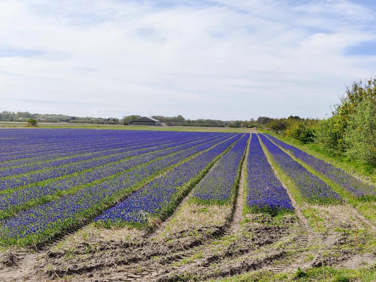 Vakantiebungalow Texel Де Коксдорп Екстериор снимка