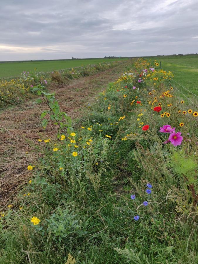 Vakantiebungalow Texel Де Коксдорп Екстериор снимка