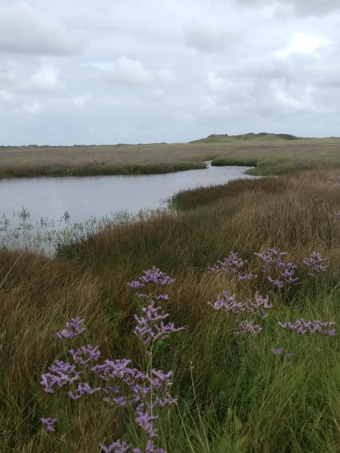 Vakantiebungalow Texel Де Коксдорп Екстериор снимка