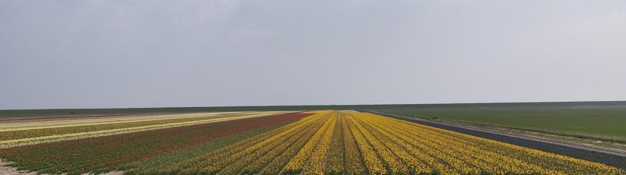 Vakantiebungalow Texel Де Коксдорп Екстериор снимка