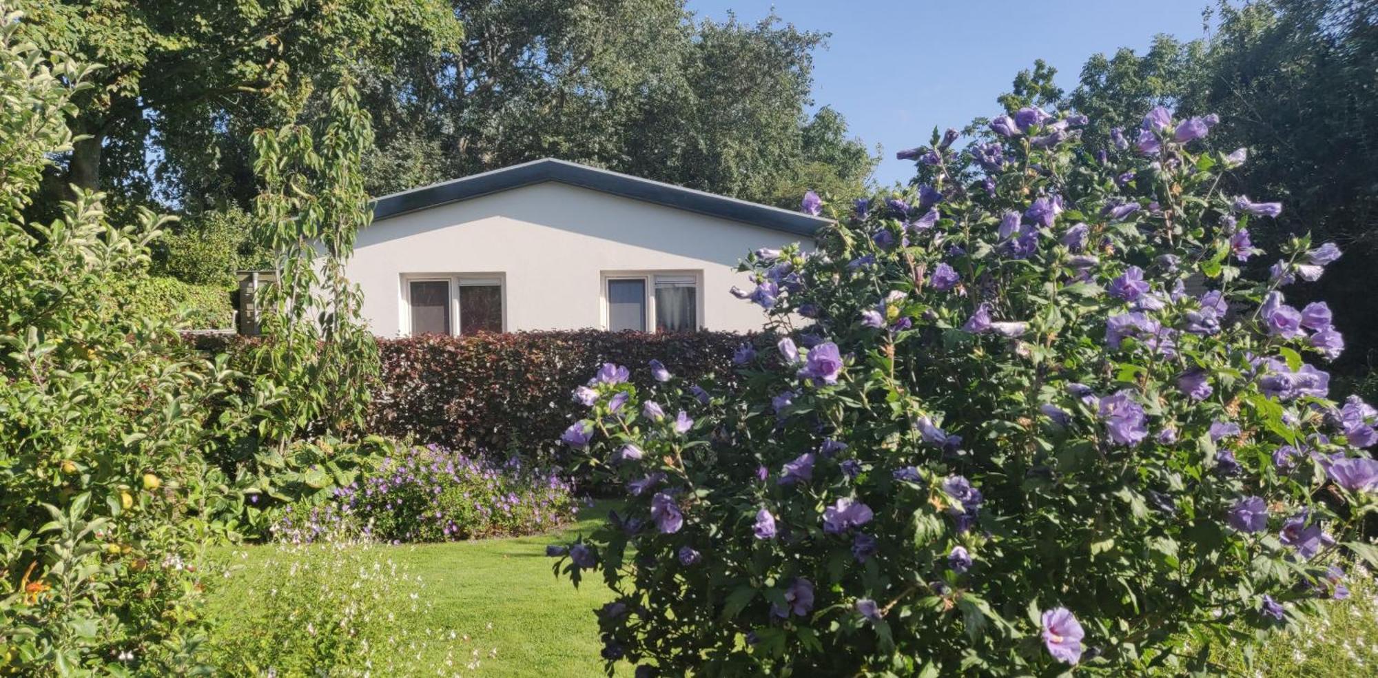 Vakantiebungalow Texel Де Коксдорп Екстериор снимка